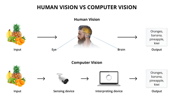 A figure that compares how human vision works with how computer vision works.